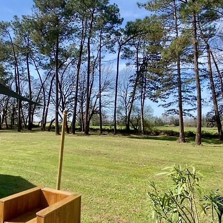 Gite La Lande En Pays Basque Apartman Came Kültér fotó