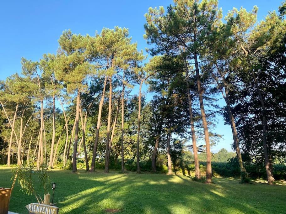 Gite La Lande En Pays Basque Apartman Came Kültér fotó