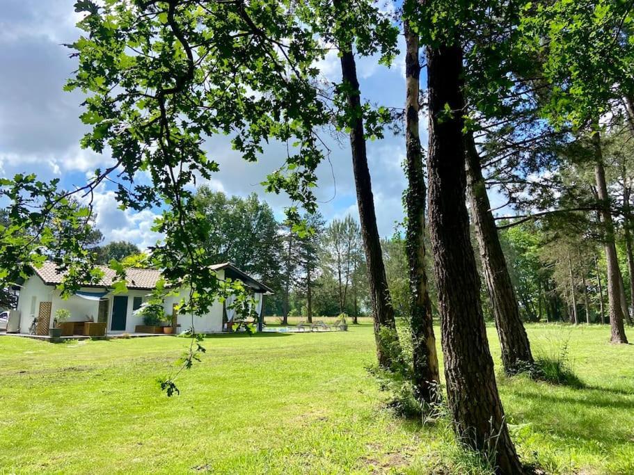 Gite La Lande En Pays Basque Apartman Came Kültér fotó