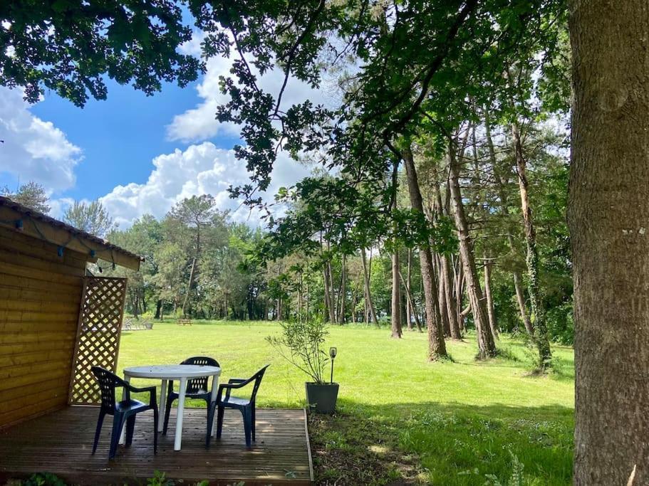 Gite La Lande En Pays Basque Apartman Came Kültér fotó