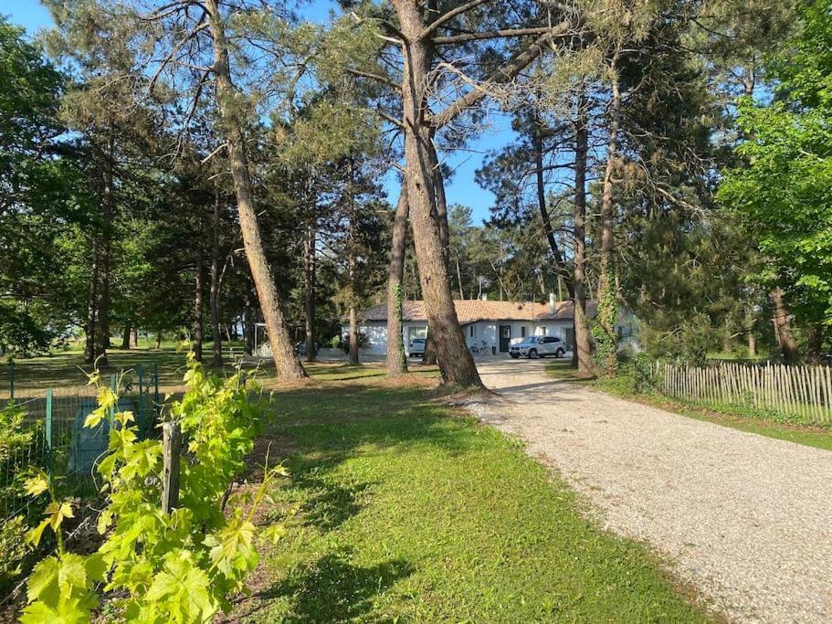 Gite La Lande En Pays Basque Apartman Came Kültér fotó