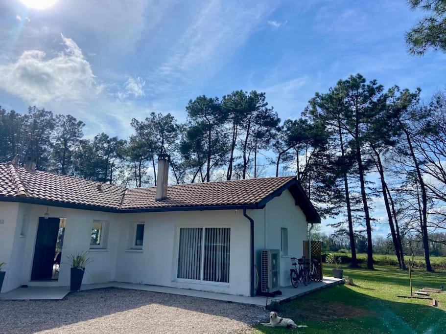 Gite La Lande En Pays Basque Apartman Came Kültér fotó