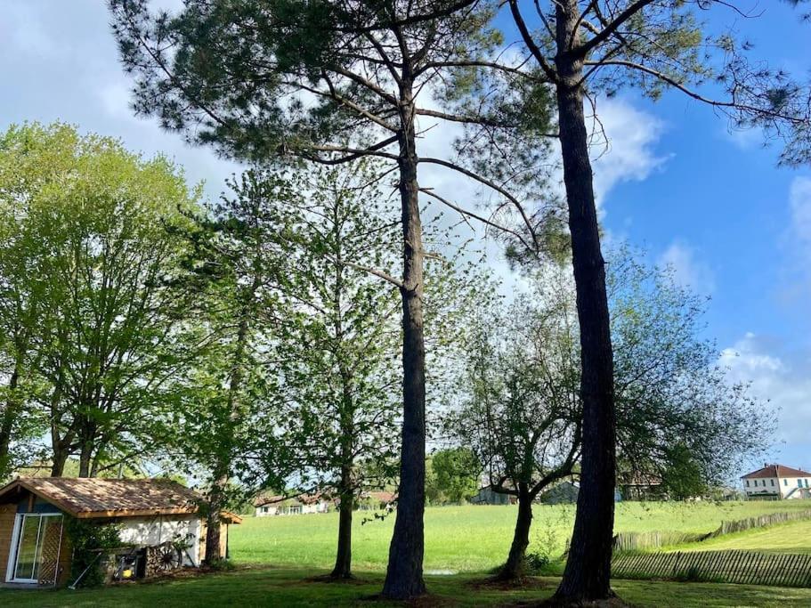 Gite La Lande En Pays Basque Apartman Came Kültér fotó