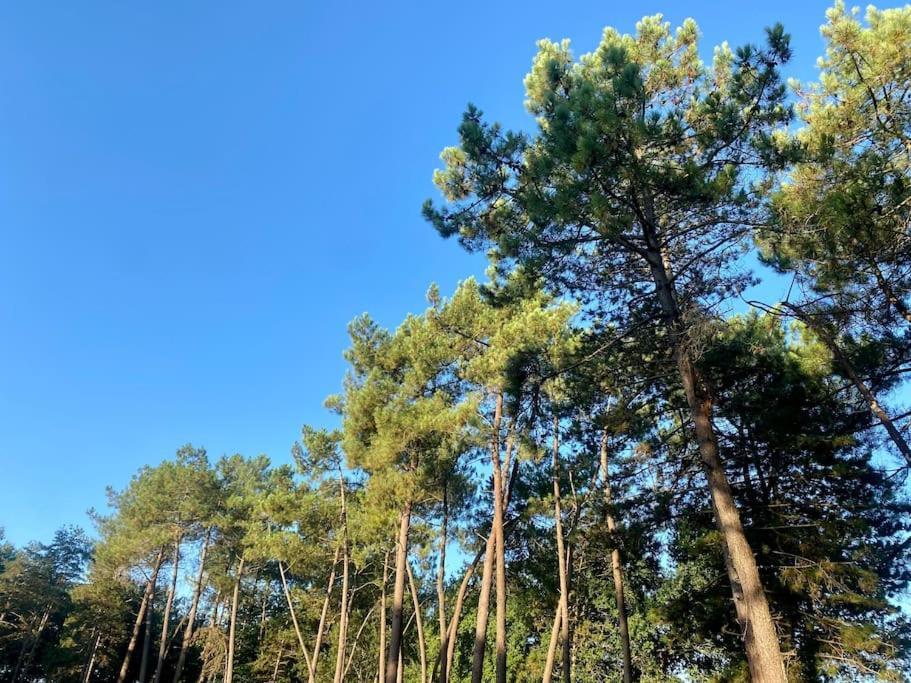 Gite La Lande En Pays Basque Apartman Came Kültér fotó