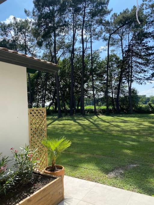 Gite La Lande En Pays Basque Apartman Came Kültér fotó